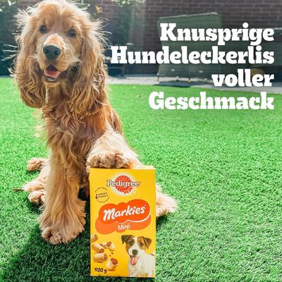 Pedigree Markies