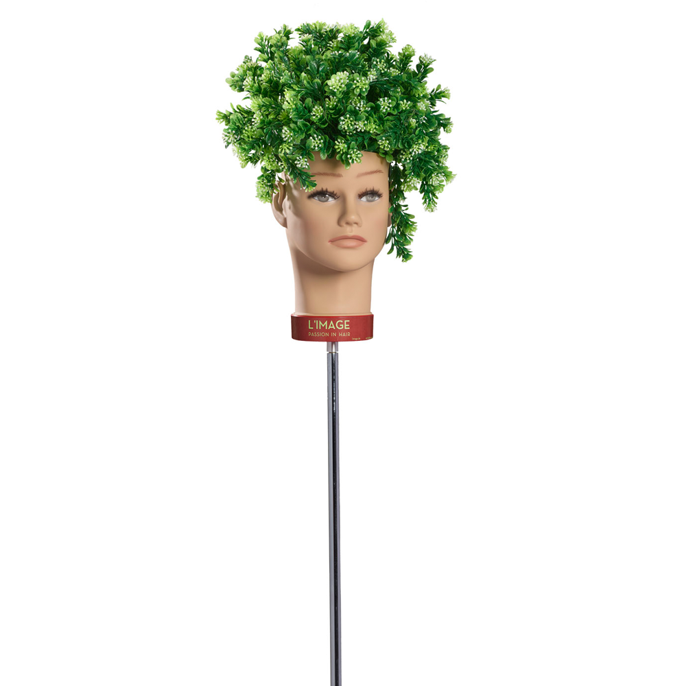 L'IMAGE Planter`s Head