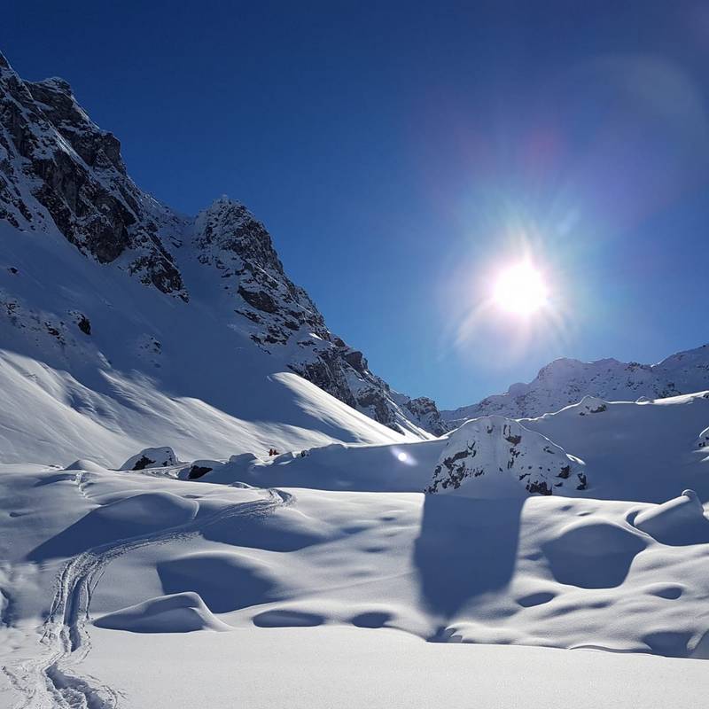 Erlebnis Tiefschneekurs für jedes Level Tour