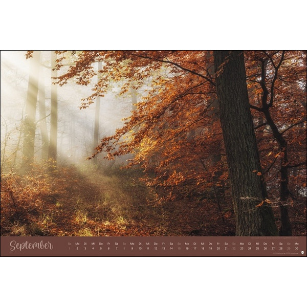 ZAUBERWÄLDER EDITION KALENDER 2024. WANDKALENDER XL - Kalender