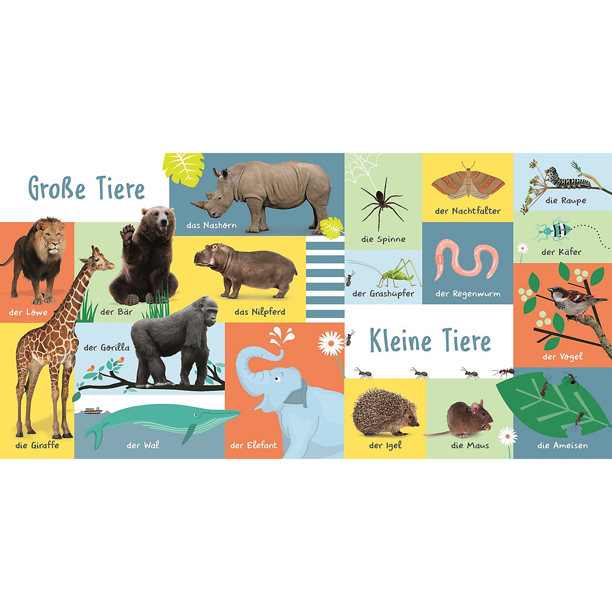 100 erste Tiere