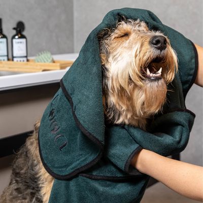 kooa Deluxe Mikrofaser Handtuch