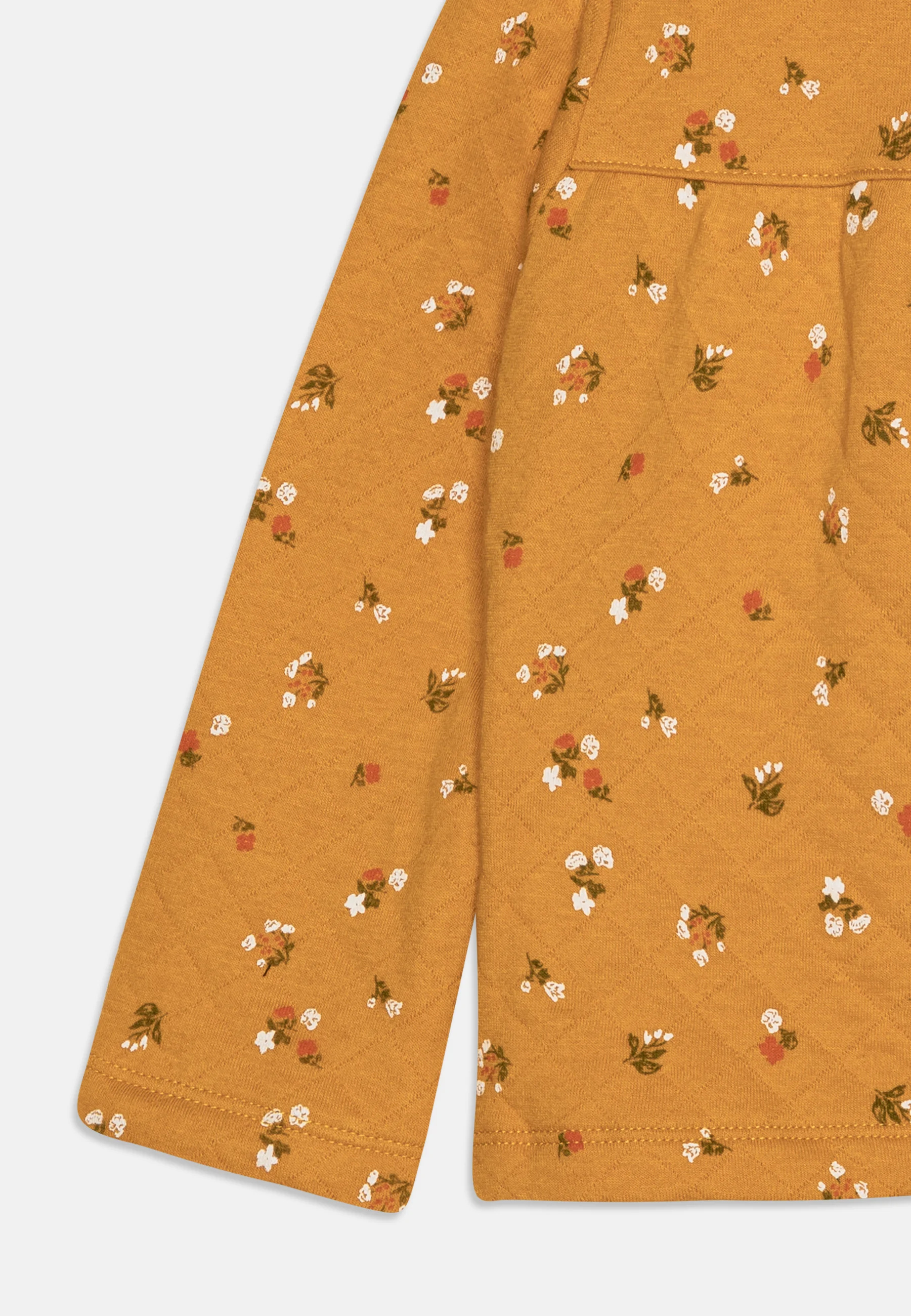 Conjunto CARDI de Carter - Cuerpo