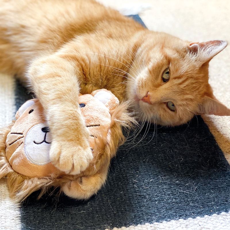 Aumüller Katzenspielkissen Leo Löwe zu TOP-Preisen