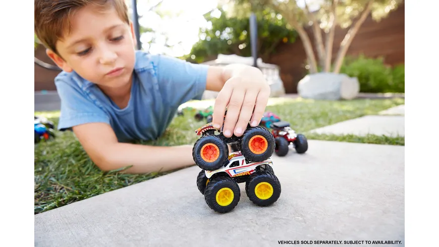 Hot Wheels Monster Trucks 1:64 Die-Cast Sortiment