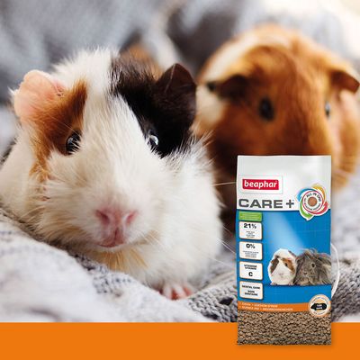 beaphar Care+ Meerschweinchen