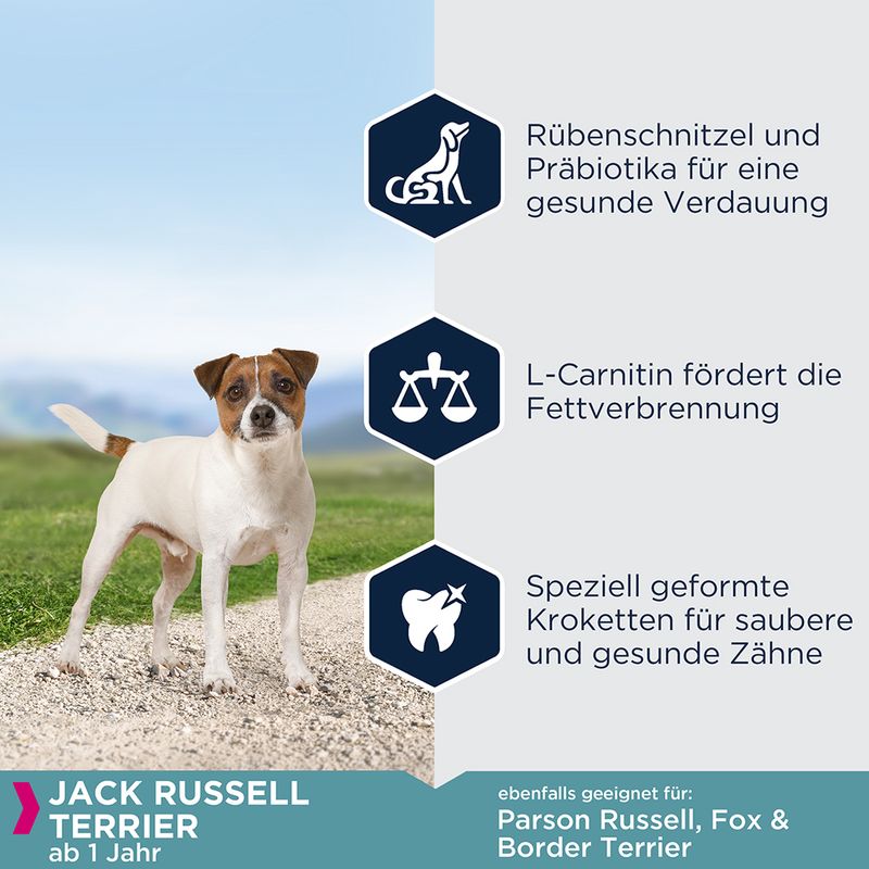 Eukanuba Adult Breed Specific Jack Russell Terrier