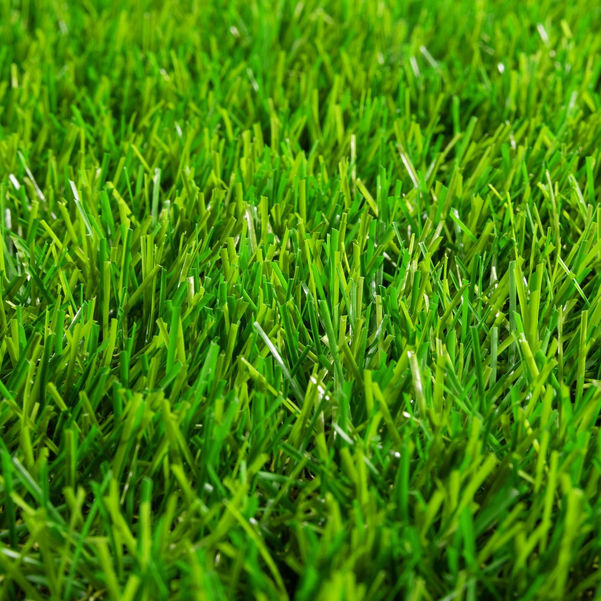 Kunstrasen Dublin, Steffensmeier, Rechteckig, 18.000 Sonnenstunden, Balkon, Garten, Höhe: ca. 30 mm, In- und Outdoor geeignet, Integrierte Drainage, Kunstrasen, pflegeleicht, strapazierfähig, Terrasse, UV-beständig, wasserfest