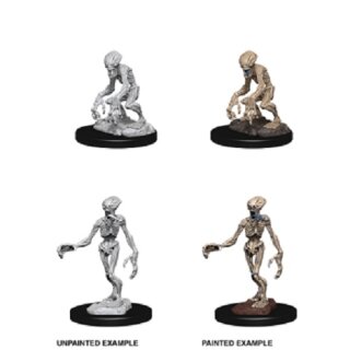 Doppelgangers: Pathfinder Deep Cuts Unpainted Minis