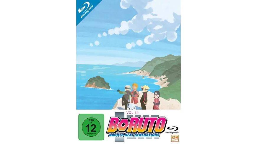 Boruto: Naruto Next Generations - Volume 14 (Ep. 233-246)  [3 BRs]