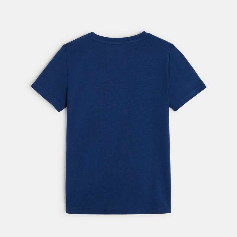 T-shirt motif dinosaures bleu garçon
