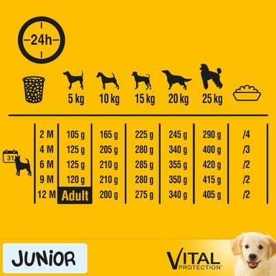 Pedigree Junior Medium mit Huhn & Reis
