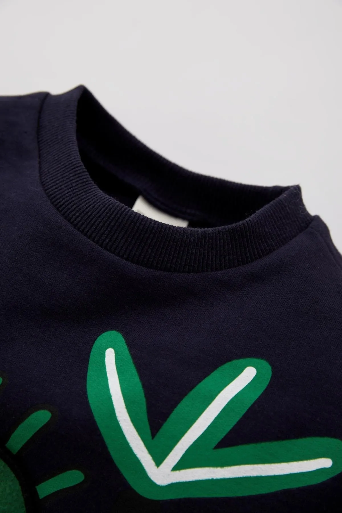 DeFacto  Sweatshirt mit Dinosaurier-Aufdruck für Babys