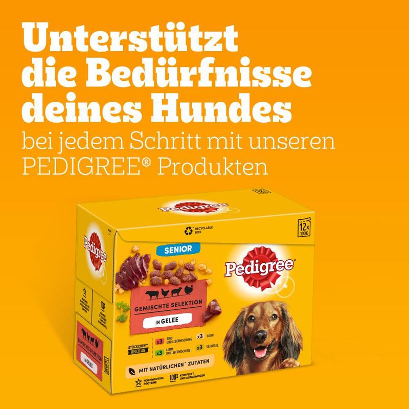 Pedigree Senior Frischebeutel Multipack