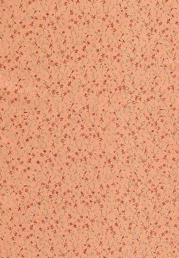 FRAAS Stola in Millefleurs-Design aus Polyester