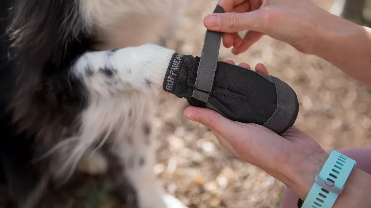 Ruffwear Hundeschuhe Ruffwear Bark'n Boot Liners™ Socken S