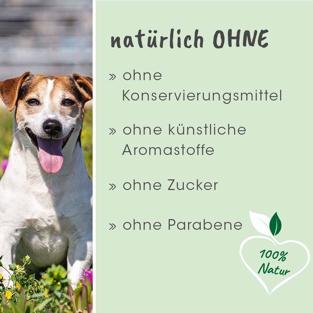 dentaVet Zahnpflege dentaVet Gel 25ml