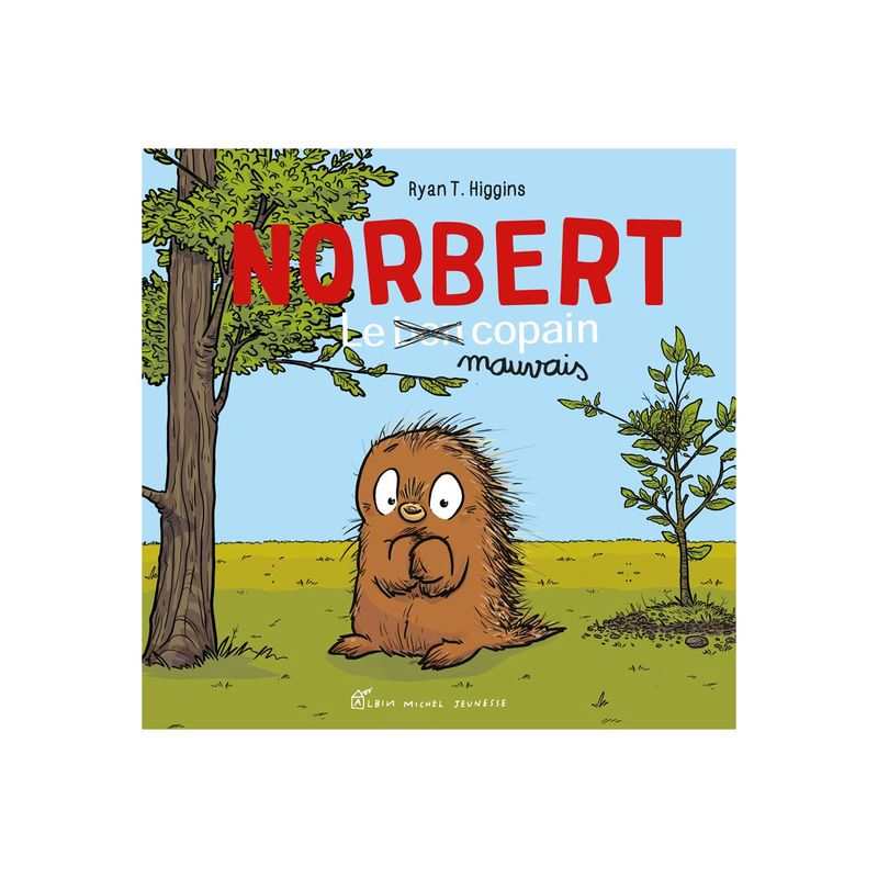 Livre Norbert, le bon mauvais copain - Albin Michel jeunesse