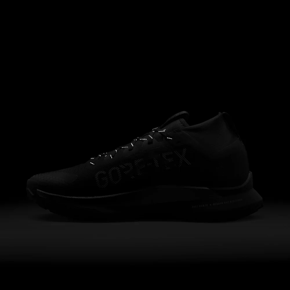 Nike React Pegasus Trail 4 GORE TEX DJ7926-001 / schwarz