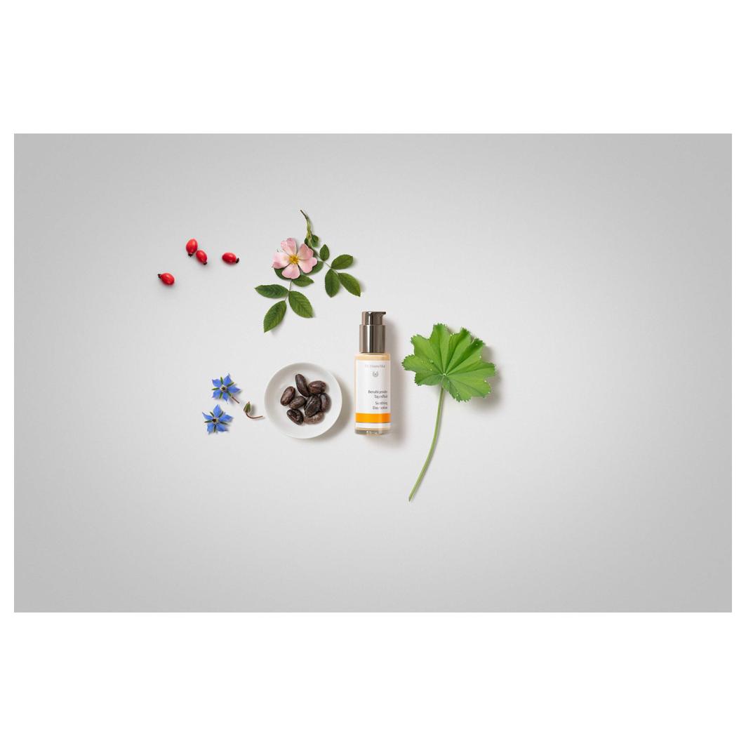 Beruhigendes Tagesfluid