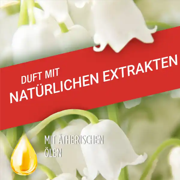 Allzweckreiniger Frühlingsblumen