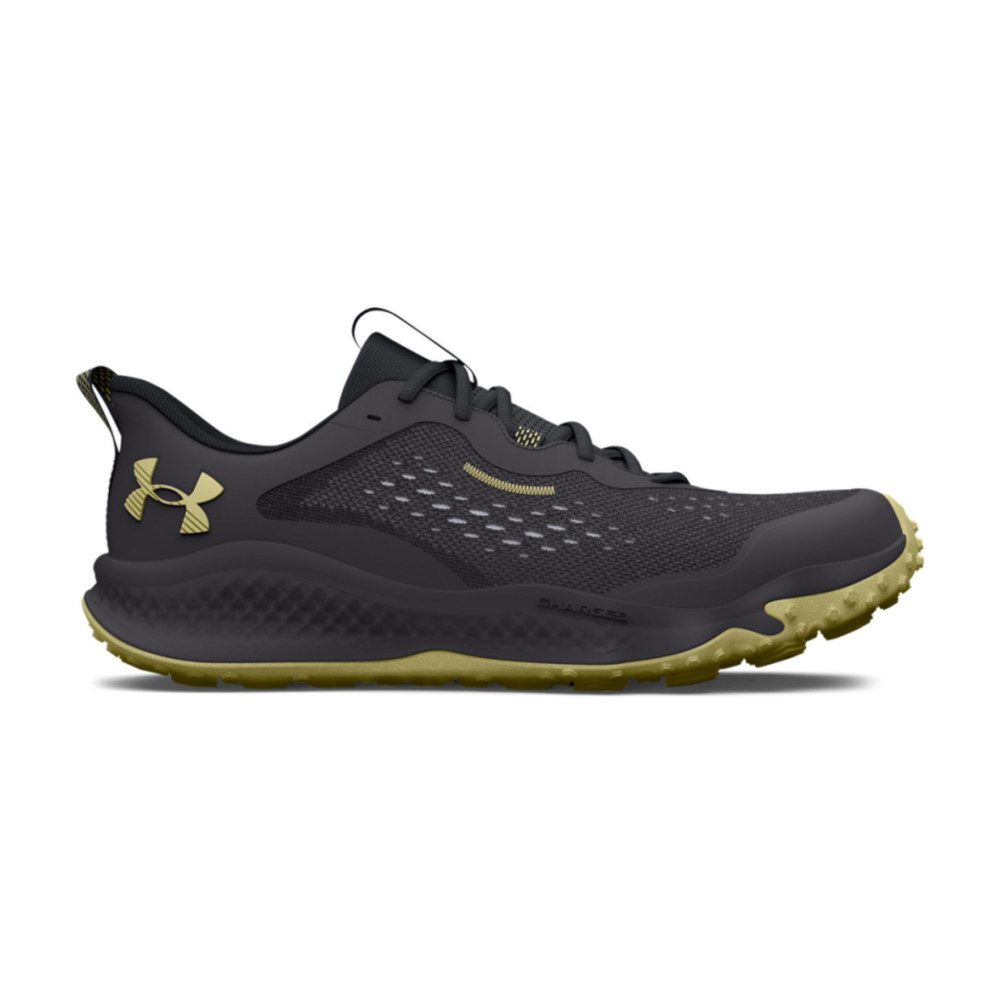 Under Armour Charged Maven Trail 3026136-100 / grau