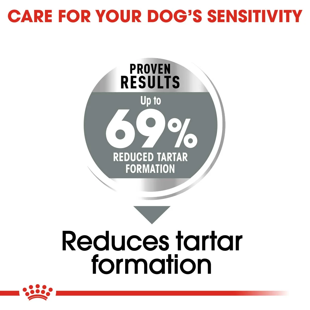 ROYAL CANIN DENTAL CARE MINI Trockenfutter für kleine Hunde mit empfindlichen Zähnen
