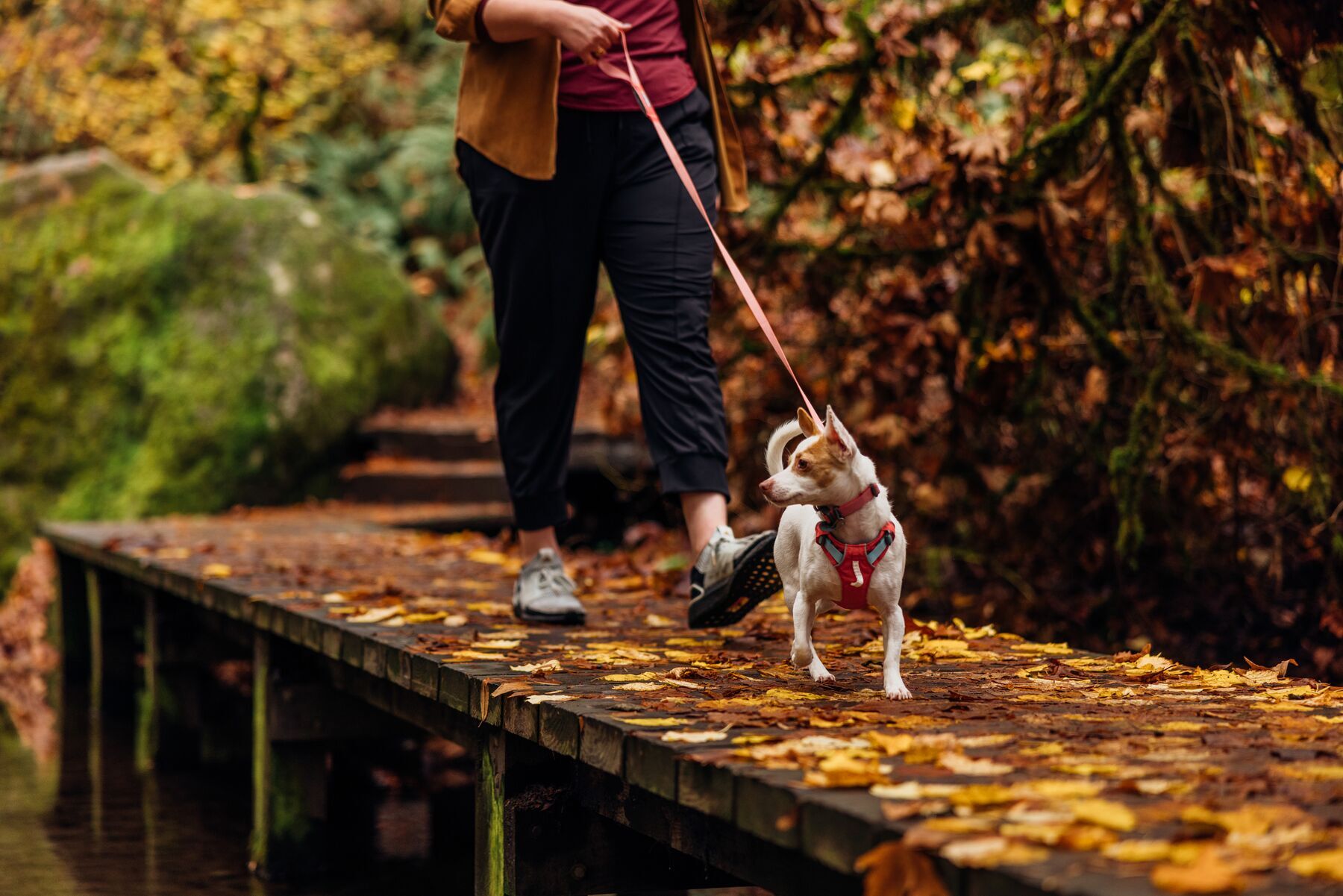 Ruffwear Hundeleinen Ruffwear Hi & Light™ Leine pink