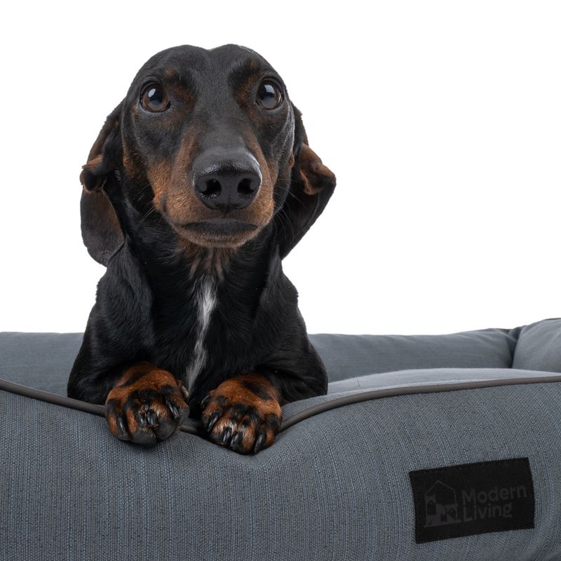 Modern Living Hundebett Skara, dunkelgrau zu TOP-Preisen | bitiba