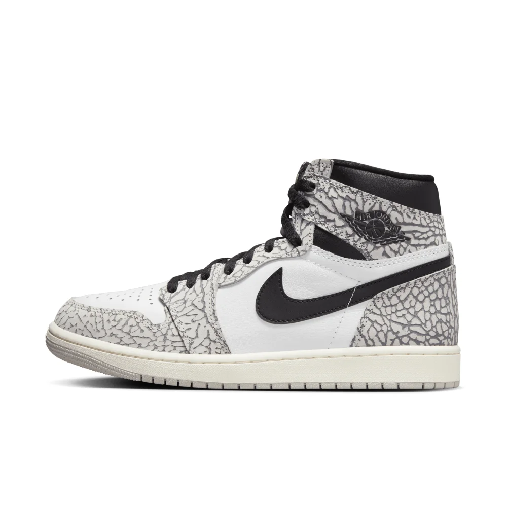 NIKE JORDAN 1 Retro High OG DZ5485 052 / grau