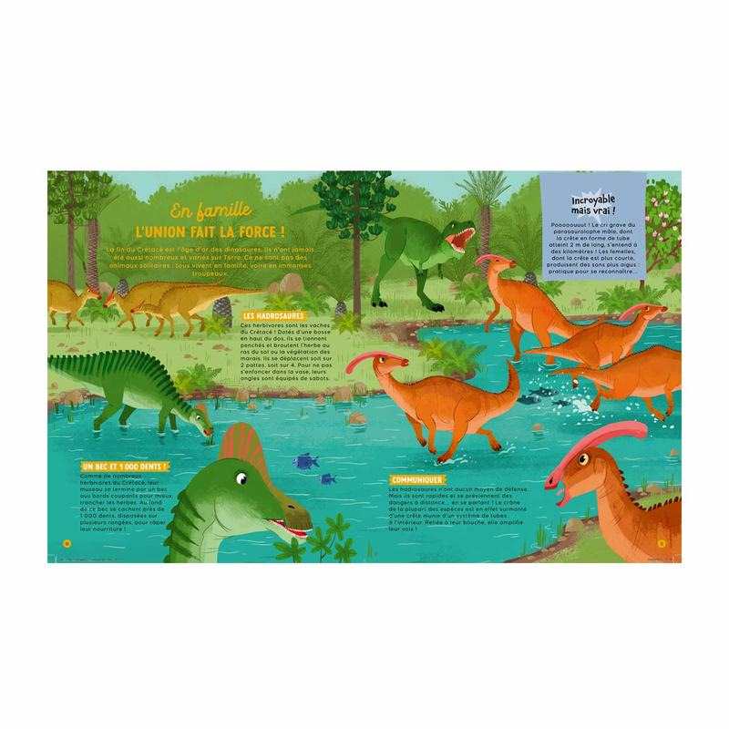 Livre Les dinosaures - Fleurus