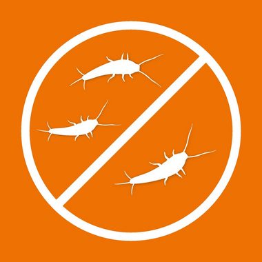 Ardap Insektenspray ARDAP® Silberfischchen Spray Insektizid mit Sofort- und Langzeitwirkung bis zu 6 Wochen 400ml