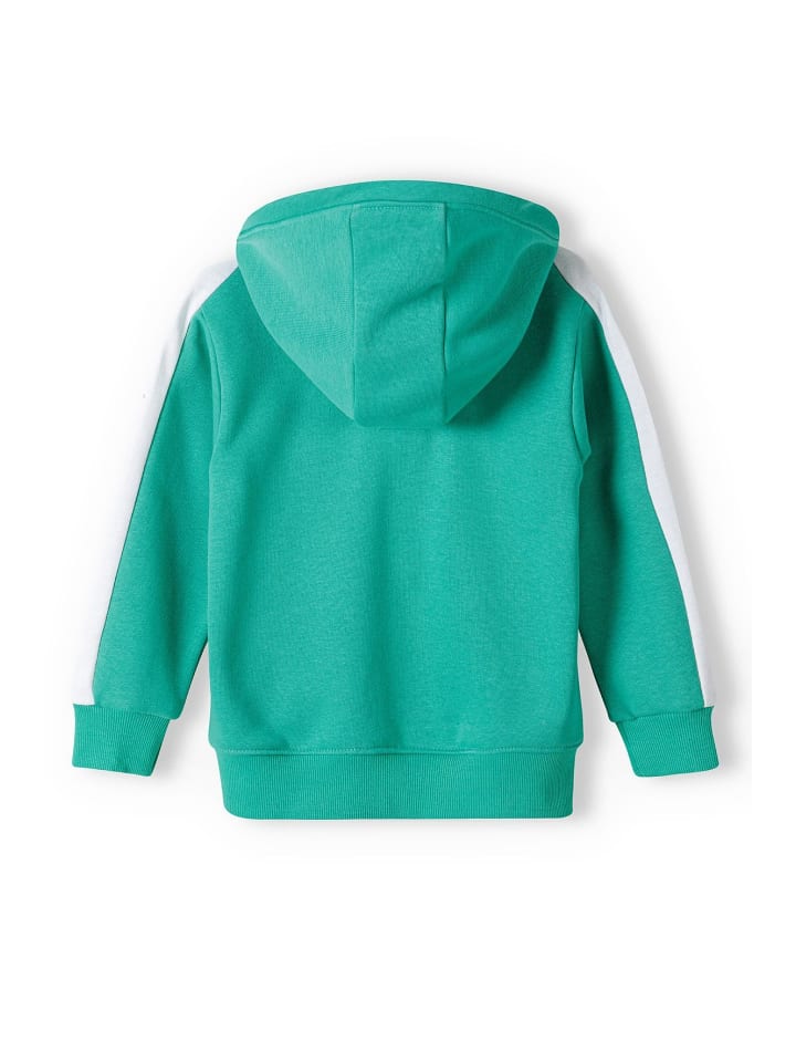 Minoti Sweatjacken 13fleece 1 in grün günstig kaufen