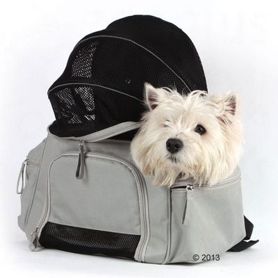 Rucksack-Tragetasche Sightseeing