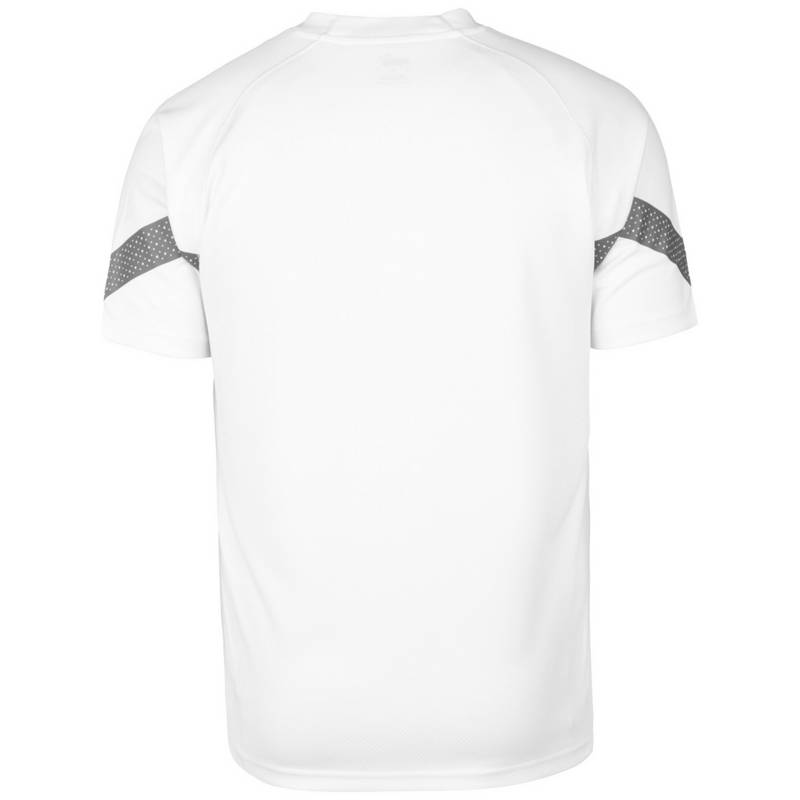 PUMA teamFinal Training Trikot Herren