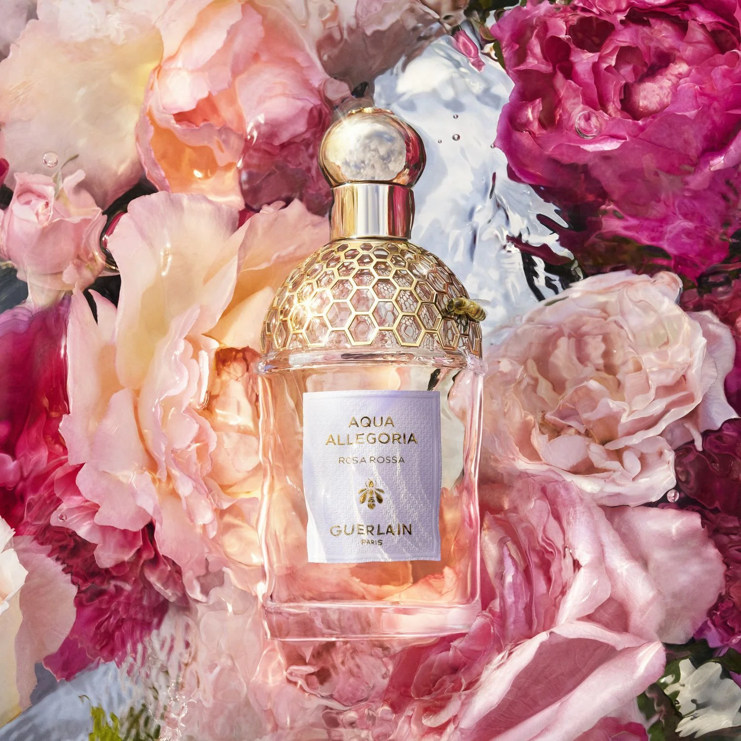 Aqua Allegoria Rosa Roja - Eau de Toilette