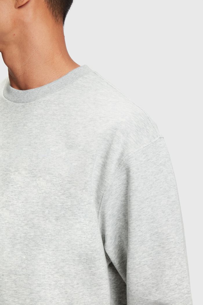 Color Dolphin Sweatshirt