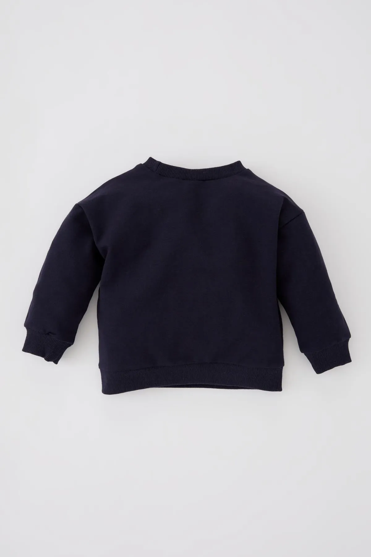 DeFacto  Sweatshirt mit Dinosaurier-Aufdruck für Babys