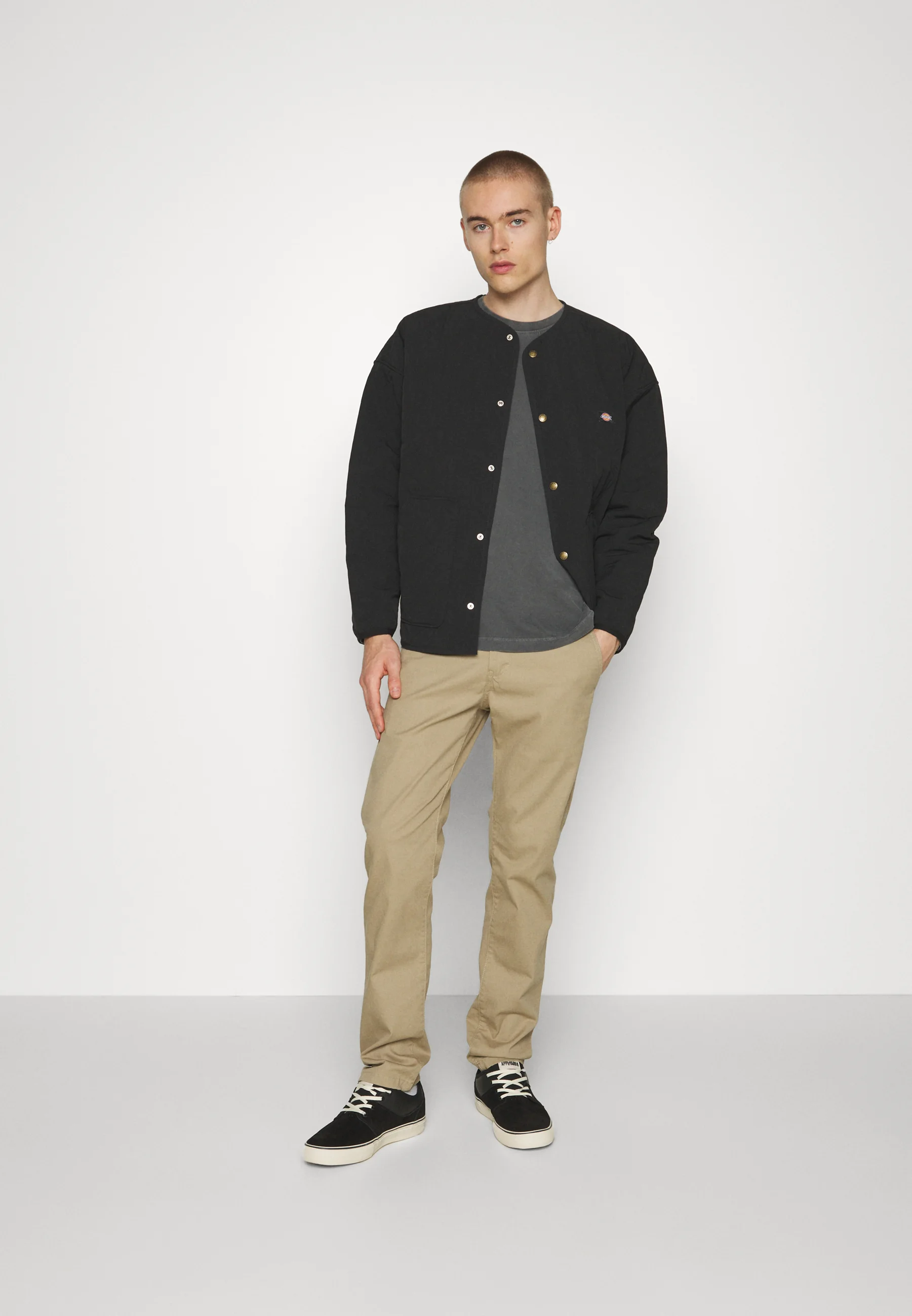Dickies THORSBY LINER JACKET UNISEX - Chaqueta de entretiempo