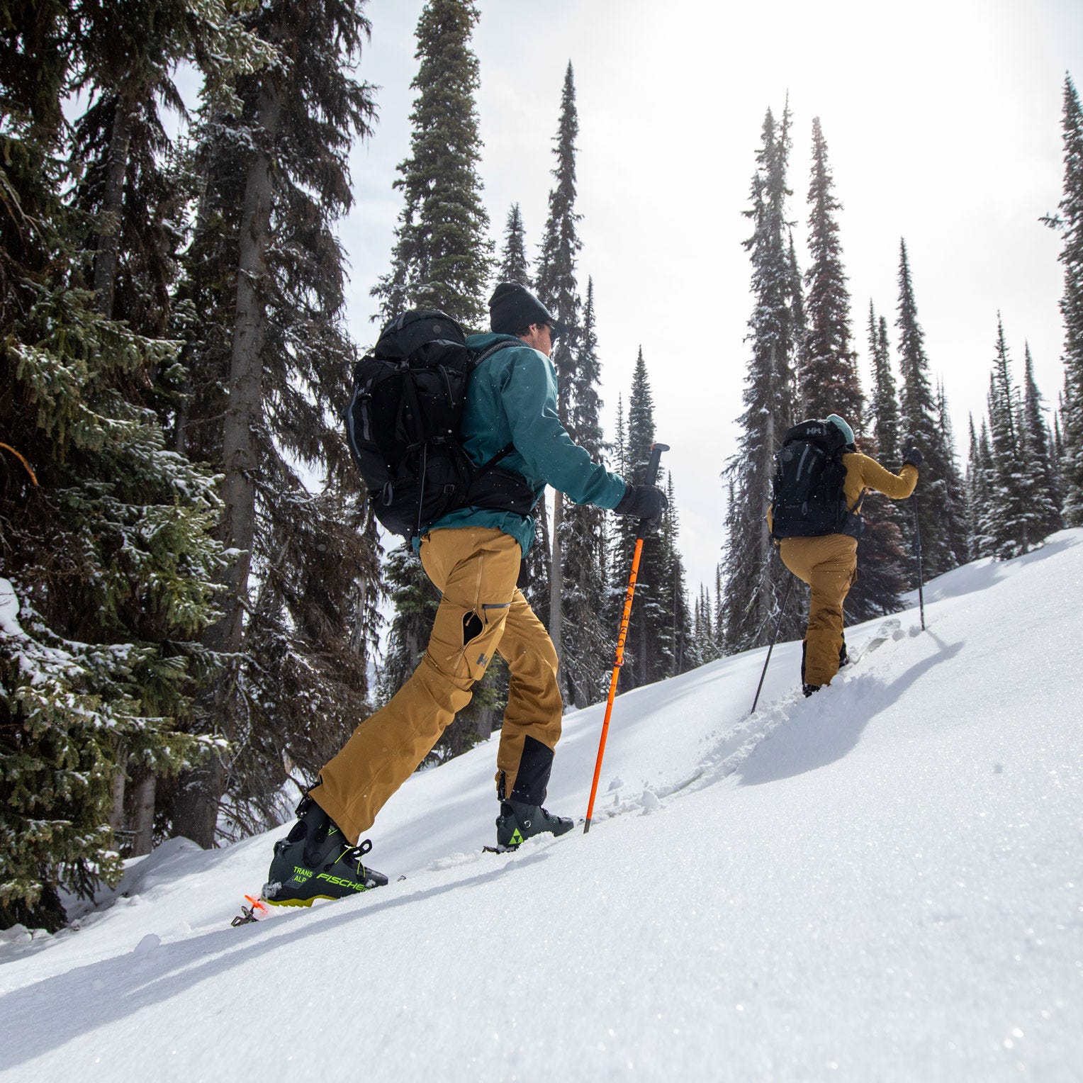 Men's Verglas Backcountry Ski Shell Pants