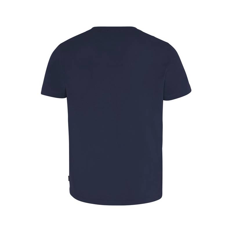 Chiemsee T-Shirt T-Shirt Herren