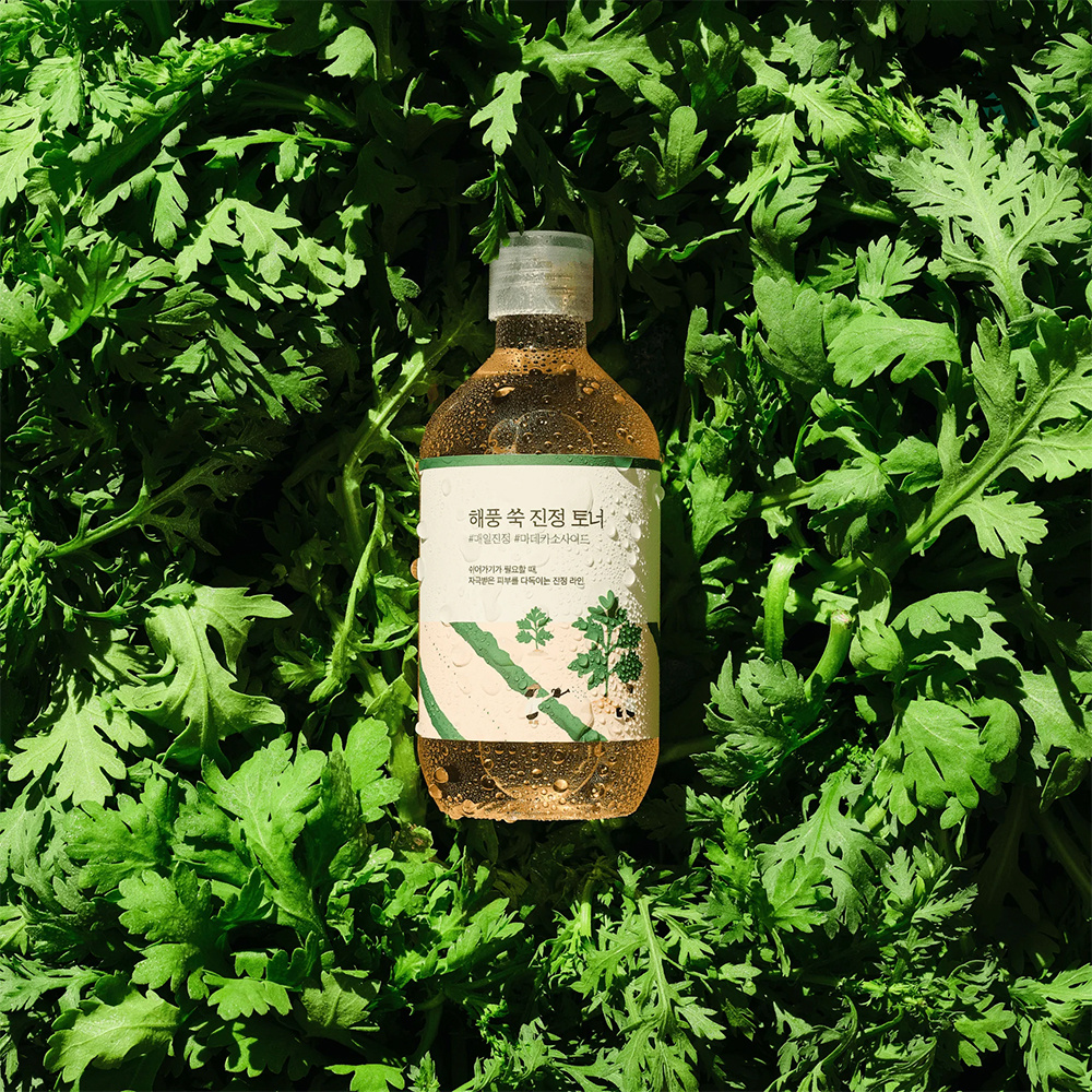 Round Lab Mugwort Calming Toner Fluide visage