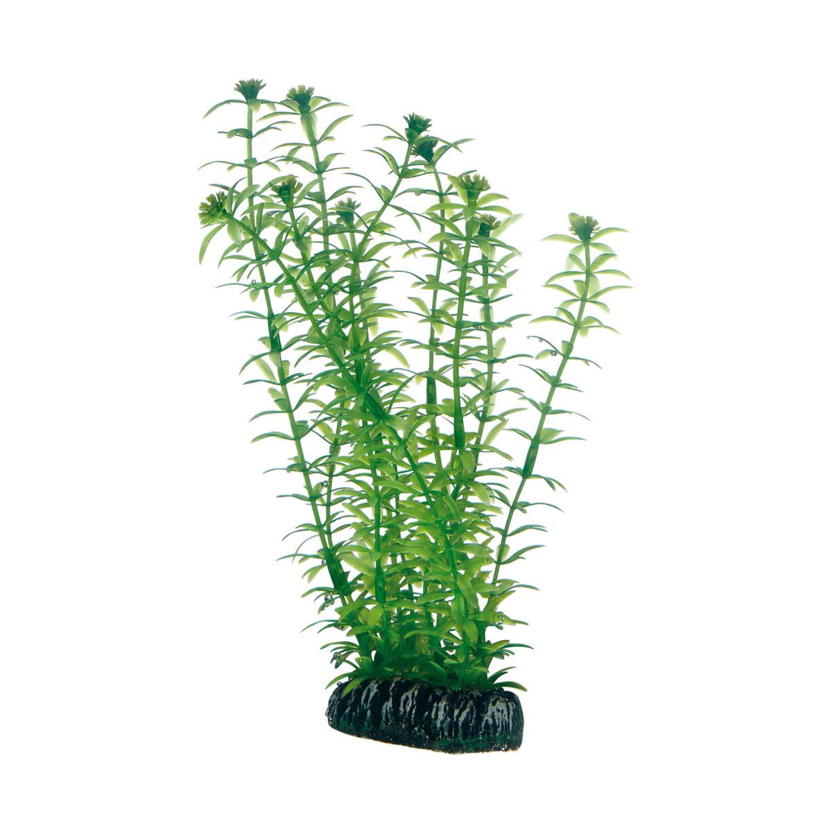 Hobby Aquariumdekoration Lagarosiphon günstig kaufen