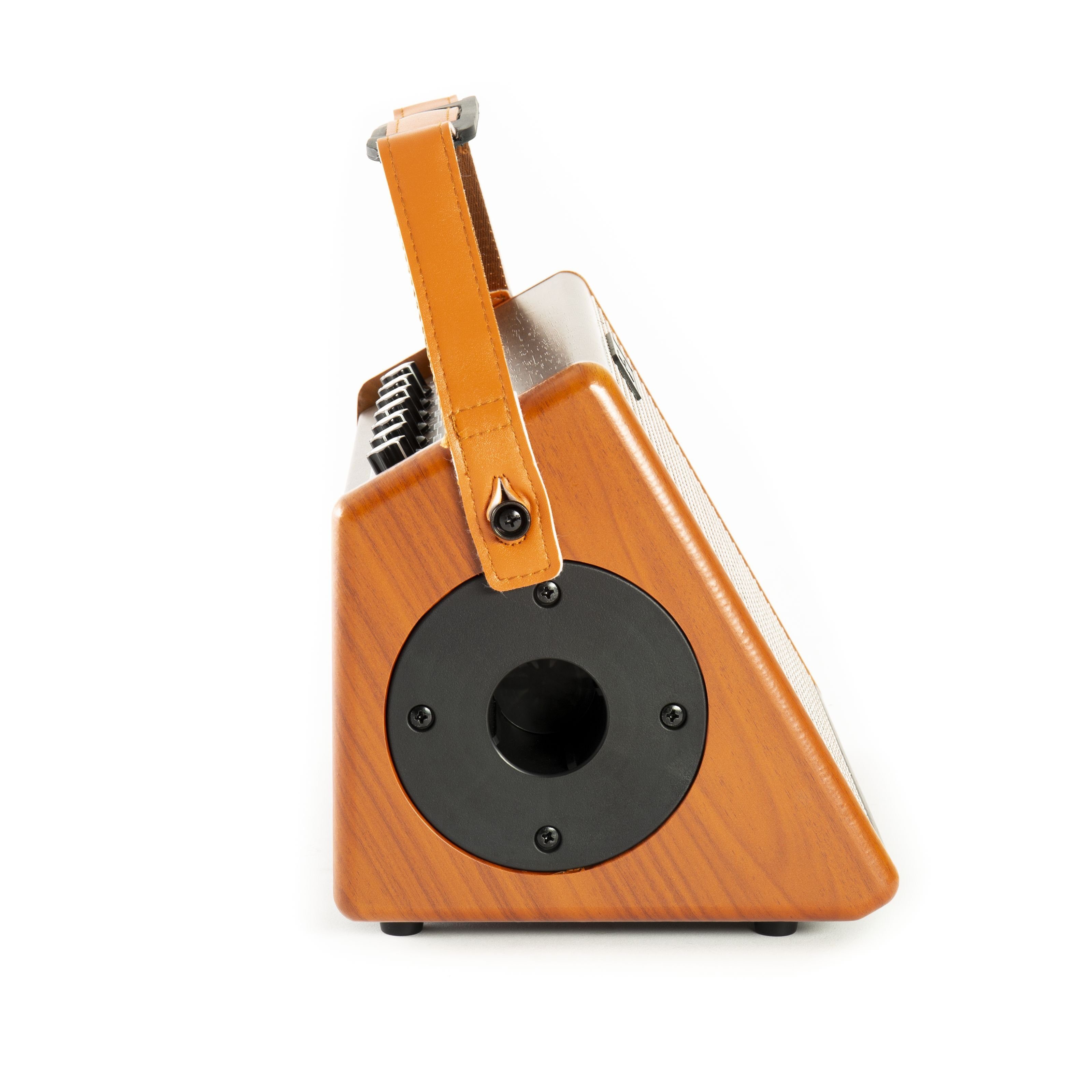 FAME Verstärker (AG-26A Akustikgitarrenverstärker, integrierter Akku, 2 separat regelb)