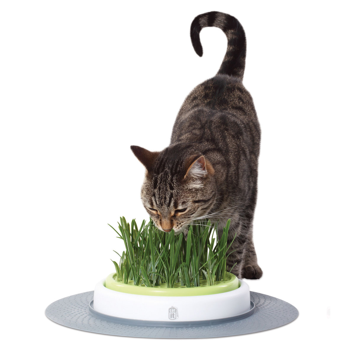 Catit Senses Gras Garten Set günstig kaufen
