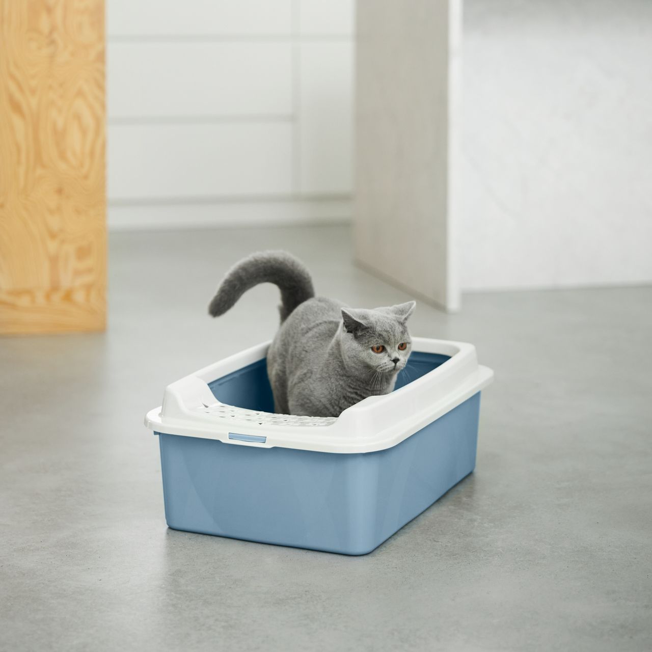 Rotho Babydesign Rotho MyPet Eco Bonnie Katzenklo mit Top-Eingang, blau/weiss (recycelt)