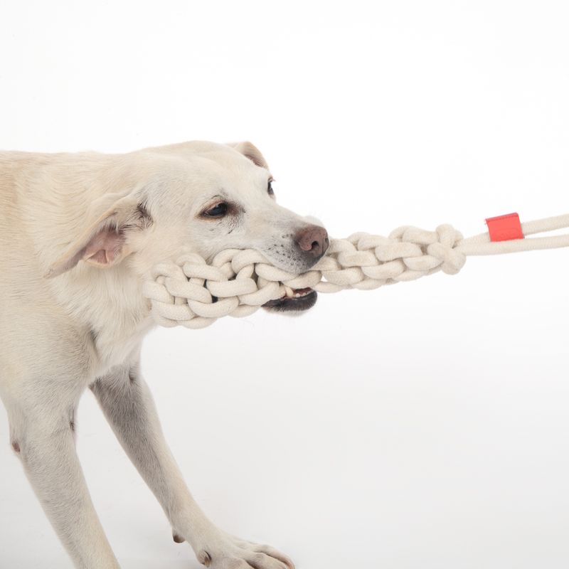 TIAKI Hundespielzeug Rope Stick zu TOP-Preisen