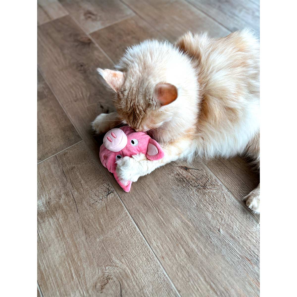 Aumüller Katzenspielkissen Schweinchen Peggy kaufen