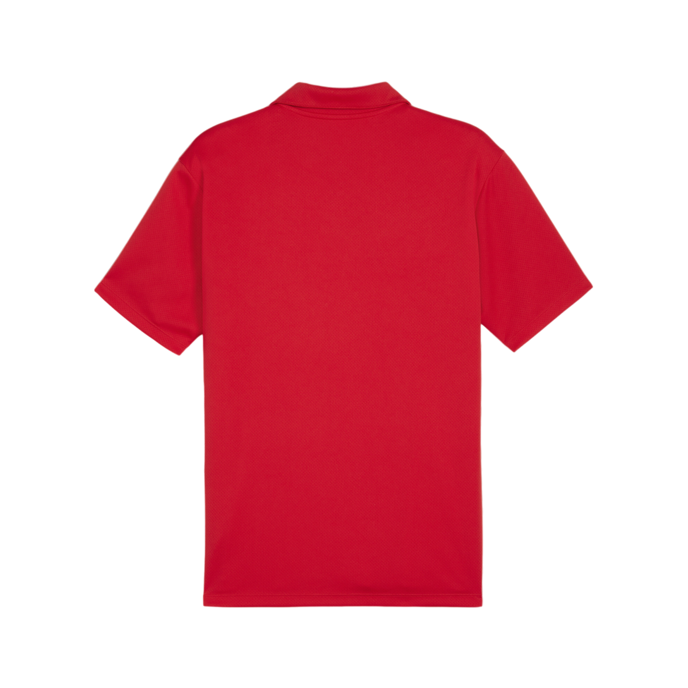 PUMA teamGOAL Poloshirt Rot F01