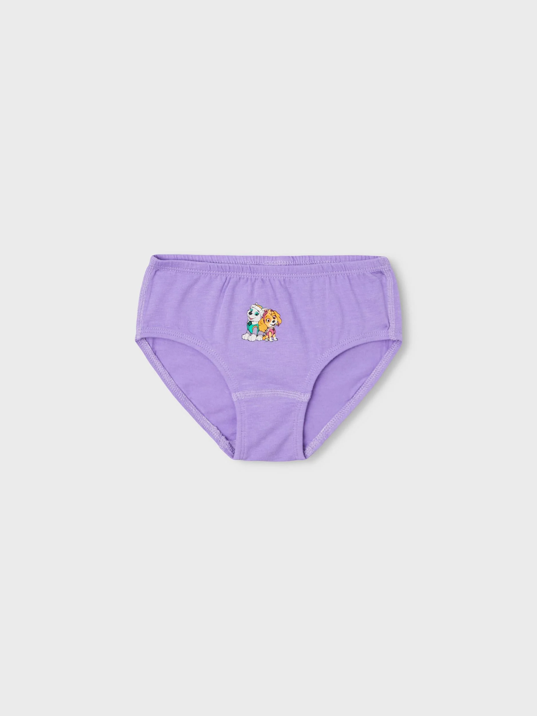 Name it NMFJUMA PAWPATROL 2PACK - Calzoncillos